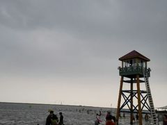 -碧海金沙
