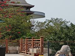 -海口万豪·大堂吧·望海吧.日落海景·下午茶·奶茶·咖啡·轻食·蛋糕·鸡尾酒·清吧