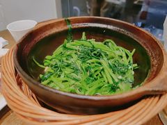 -熠盛粤味·顺德桑拿鸡(永康路店)