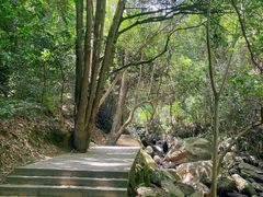 -东莞市大岭山森林公园