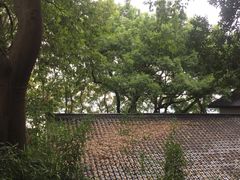 -北山街历史文化街区