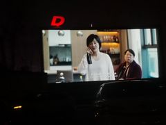 -枫花园汽车电影院(朝阳公园店)