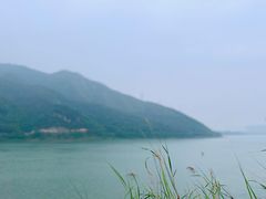 -羚羊峡古栈道森林公园