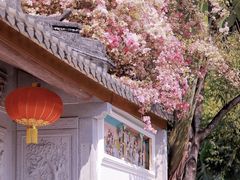 -深圳国际园林花卉博览园