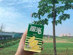 -新地休闲农场