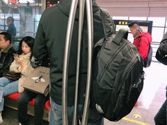 -漕溪路(地铁站)