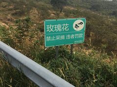 -阳台山自然风景区