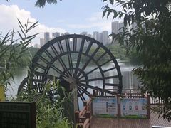 -重庆彩云湖湿地公园
