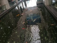 -中国医科大学附属盛京医院(南湖院区)
