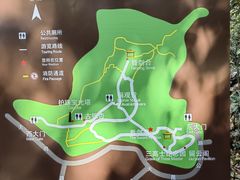 -上海佘山国家森林公园天马山园