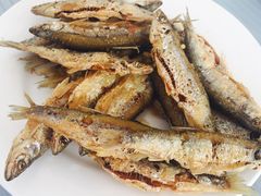 江青林子-庆岭迎宾园正宗活鱼馆