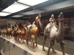 -西安大唐西市博物馆