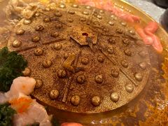 -牛牛章·章鱼水煎肉(光谷世界城店)