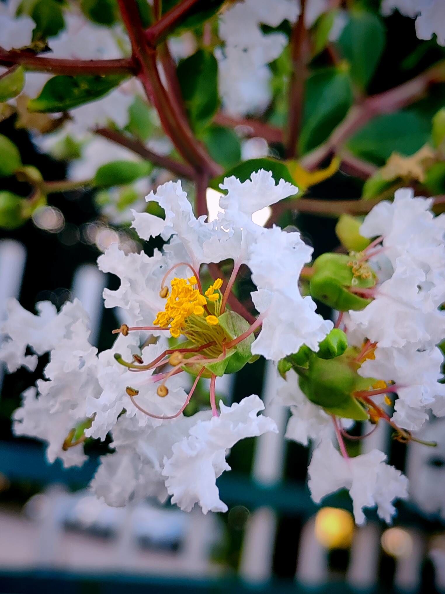 花花世界迷人眼 社会复杂乱人心