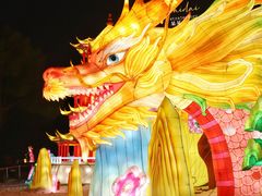 -武汉园博园(武汉自然博物馆)