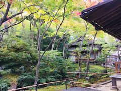 -常寂光寺
