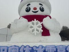 -沈阳奥体冰雪嘉年华