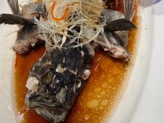 -船歌·鱼水饺青岛菜(闽江二路店)