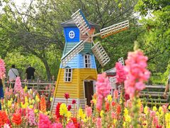 -抚仙湖万达文华酒店