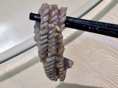 -春涛餐馆(下坝店)