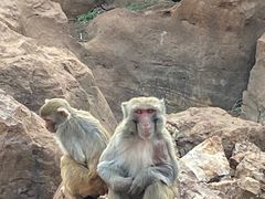 -昆明动物园