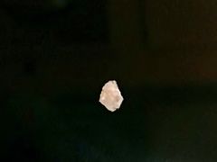 -Oyster Talks 四度蚝法餐厅