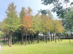 -晓港公园