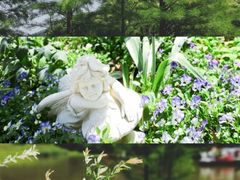 -无锡梅园公园