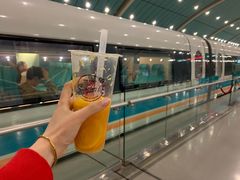 -龙阳路磁悬浮列车总站-停车场