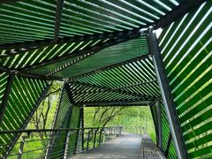 -西湖风景区-江洋畈生态公园