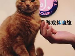 -JOJO实景沉浸侦探剧本杀(大悦城店)