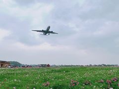 -空港花田景区