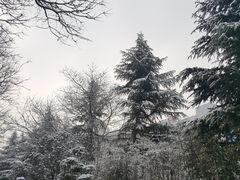 -西安交通大学(雁塔校区)
