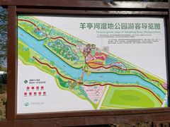 -羊亭河湿地公园