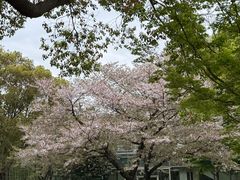 -阳澄湖费尔蒙酒店