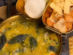 -Darling Queen·Mini·Live·House