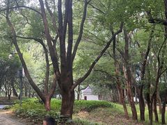-东湖落雁景区