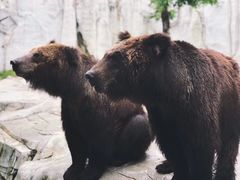 -灵玲国际马戏城