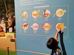 -深圳博物馆历史民俗馆