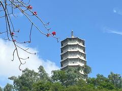 -深圳国际园林花卉博览园