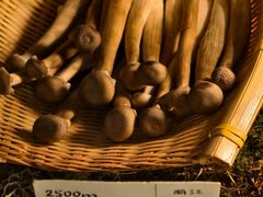 -滇野云南野生菌餐厅(陕西南路店)