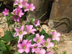-上海静安宾馆