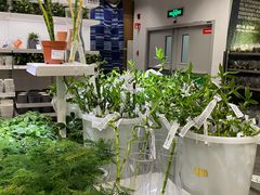 -宜家家居(哈尔滨商场店)