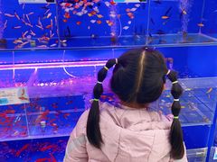 -大润发(康桥店)