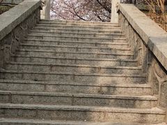-樱花山风景区