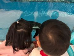 -帝企鹅自助餐厅•儿童岛•真企鹅(长隆企鹅酒店)