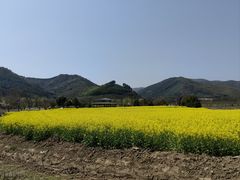 -径山花海