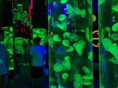 -成都浩海立方海洋公园