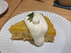 -猫里有甜