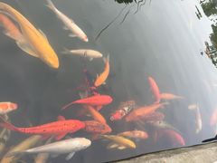 仙海风景区-仙海旅游度假区